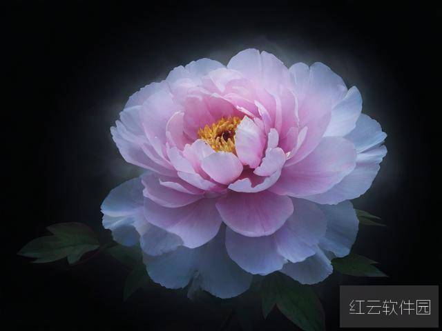 解码国色一卡2卡二卡4卡乱码,数字时代的文化符号与信息迷雾